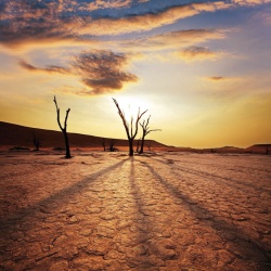 Am Sossusvlei  (Bild: Best of Travel Group)